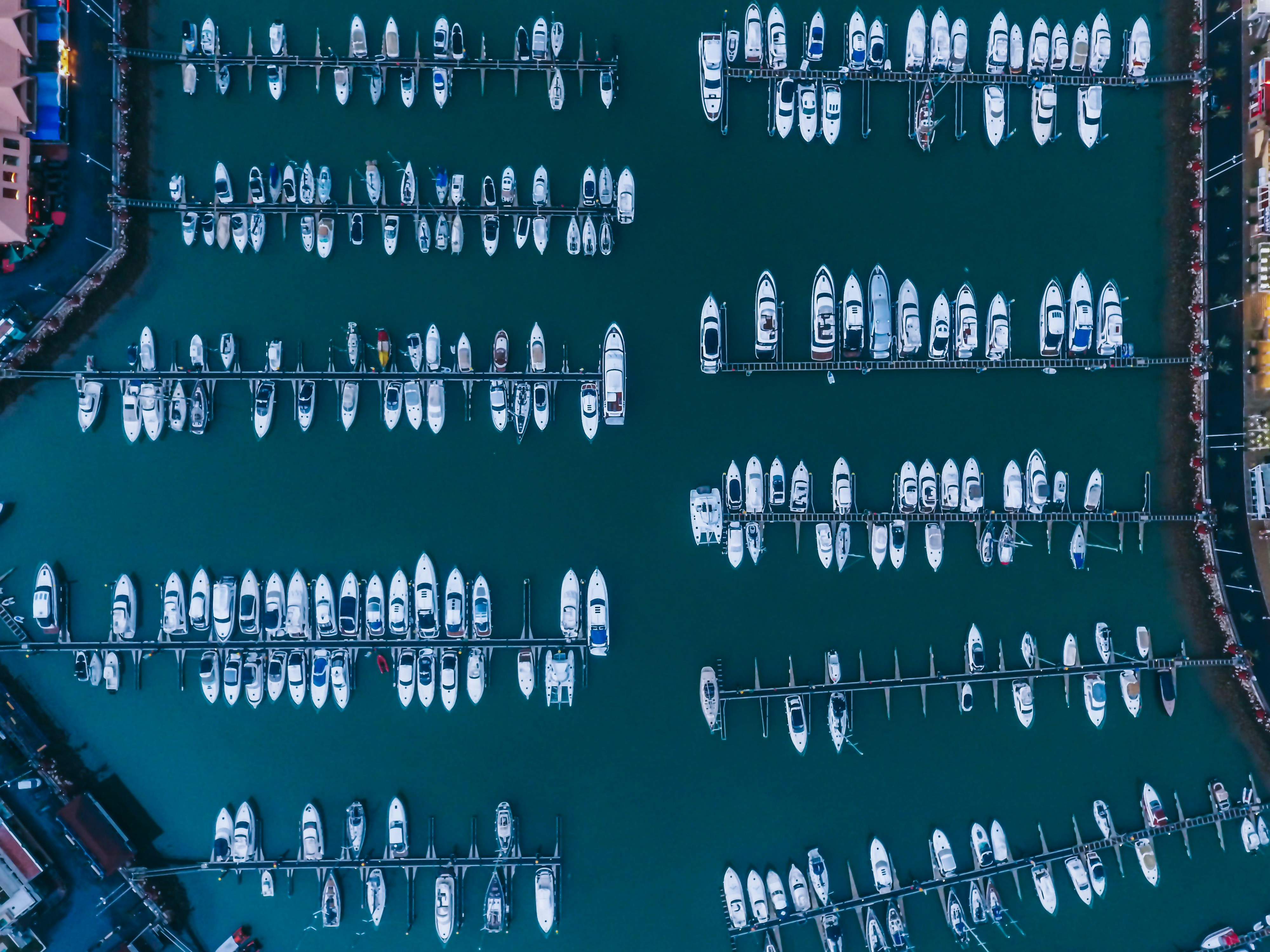 Boats moored along a marina waterfront at golden hour